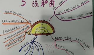 三年级下册数学怎么算 三年级下册数学辅导