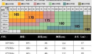 运动裤的尺码表